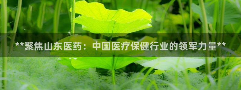 九游会j9官网
