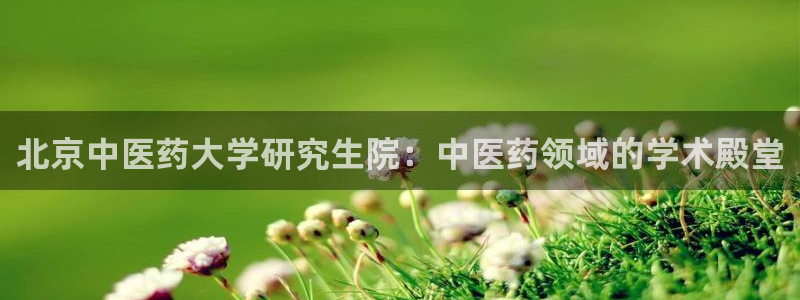九游会j9官网