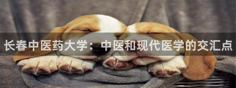 九游会是一个什么网站
