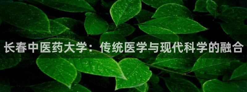 J9九游会J9