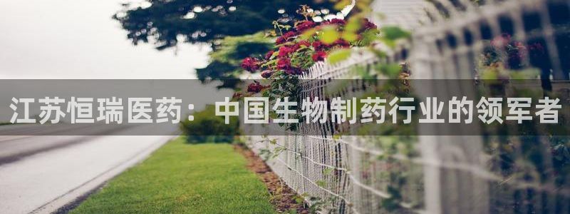 J9九游会老哥