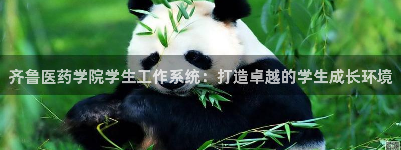 J9九游会俱乐部