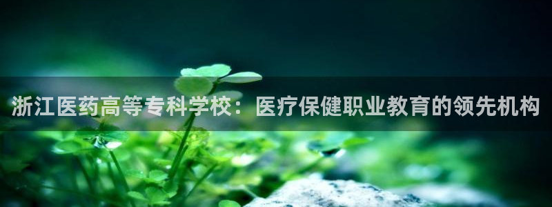 ag九游会vip8