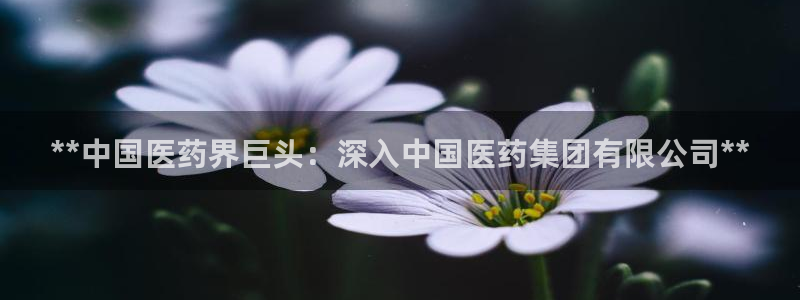 九游会平台老哥俱乐部