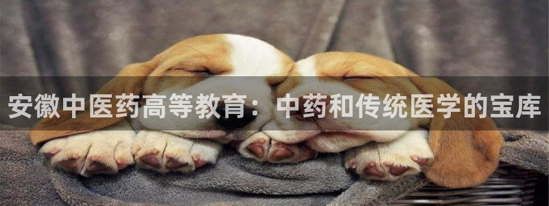 九游会集团正规吗