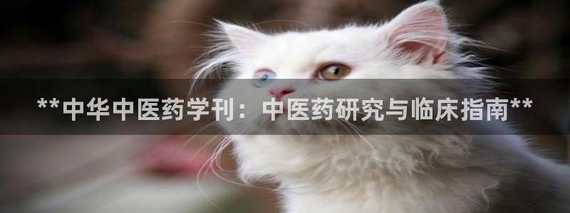 九游会j9官网网站
