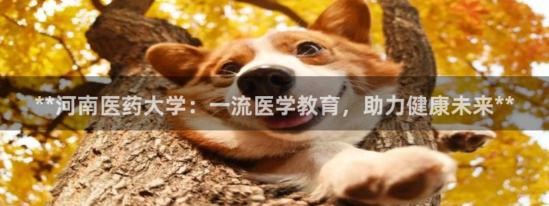 九游会官网老哥俱乐部