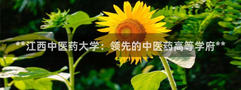 九游老哥俱乐部官方网站