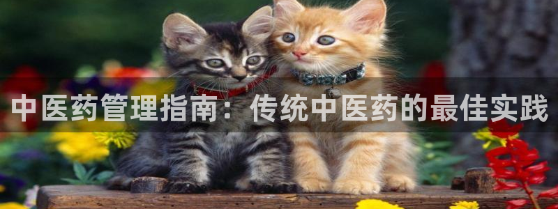 ag九游会vip8