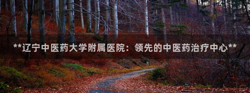 九游会官方选网址是j9.cm