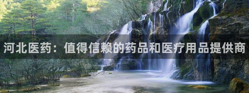 九游j9国际