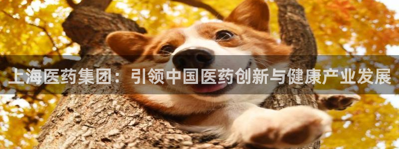 ag九游会登录j9入口