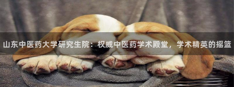 九游会平台入口