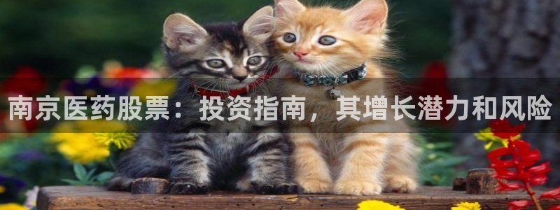 九游会ag官方网站在哪