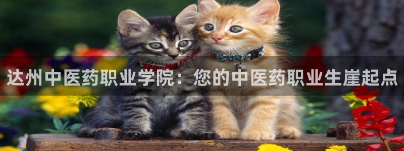 九游会老哥俱乐部交流社区