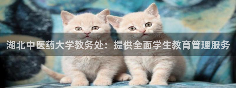 j9官网平台