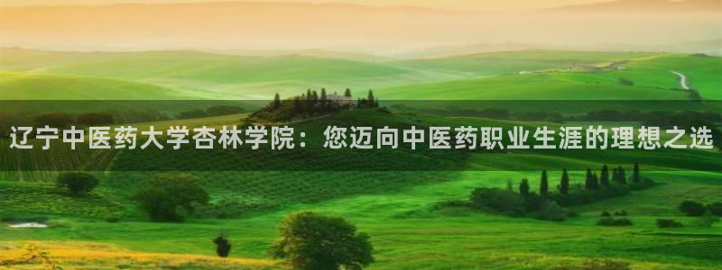 九游j9