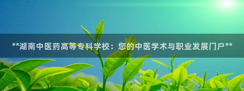 九游会j9官方网站