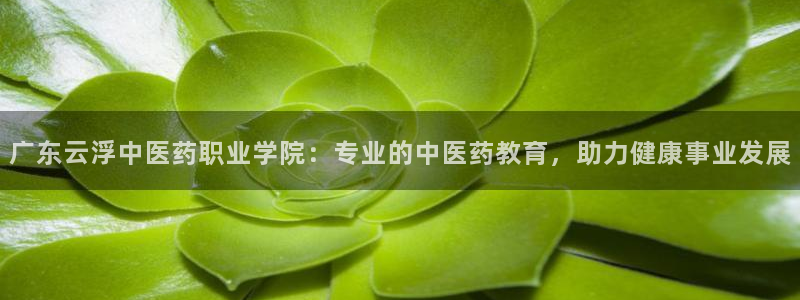 九游会官方首页登录