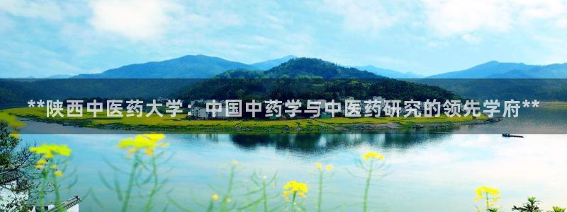 九游老哥俱乐部官方网站