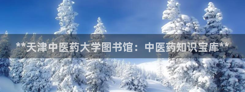 九游会官方地址