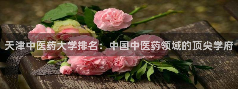 九游会j9网站首页