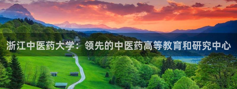 9游会ag
