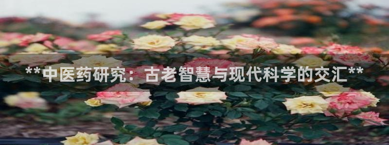 九游会官方app