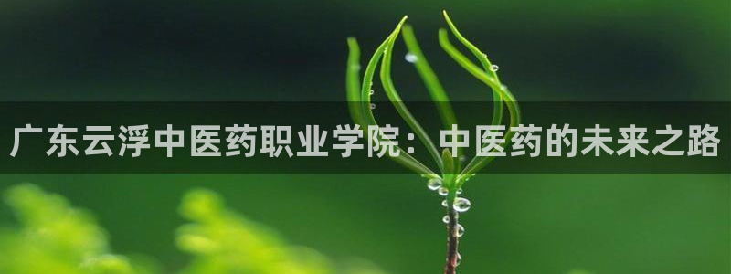 九游会j9官网