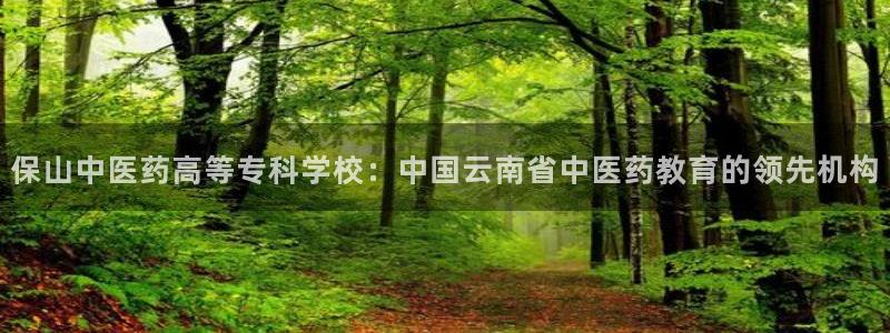 j9九游会游戏中国官方网站