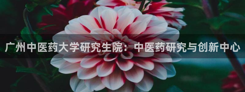 九游会j9官网