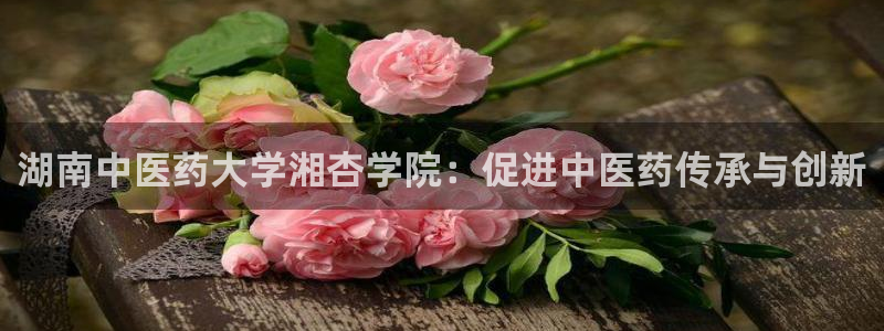 j9363九游会