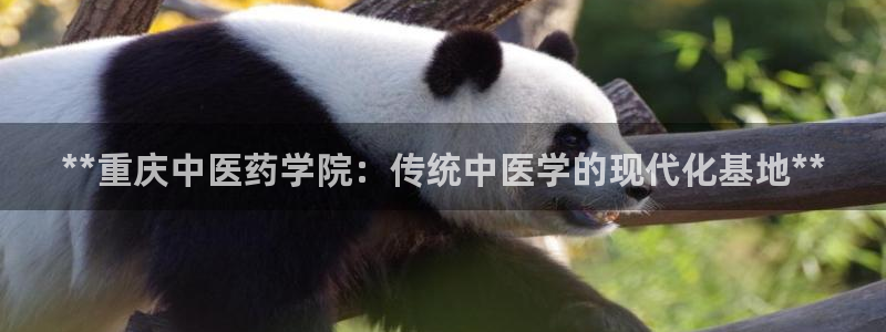 九游会老哥俱乐部官网首页