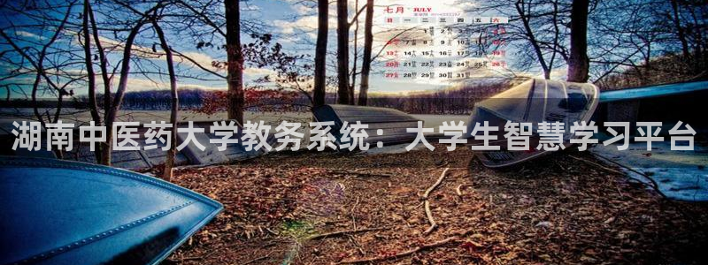 ag8九游