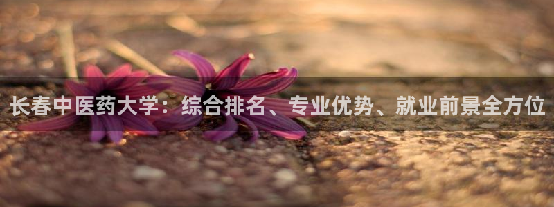 九游会官网下载不了吗