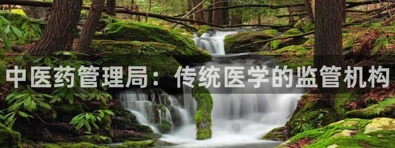 九游会在