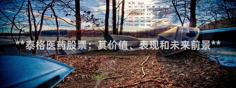 九游会平台最强