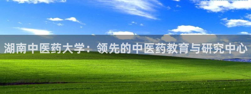 九游会网址是什么情况