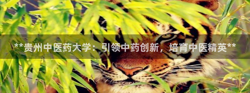 九游会平台稳定吗