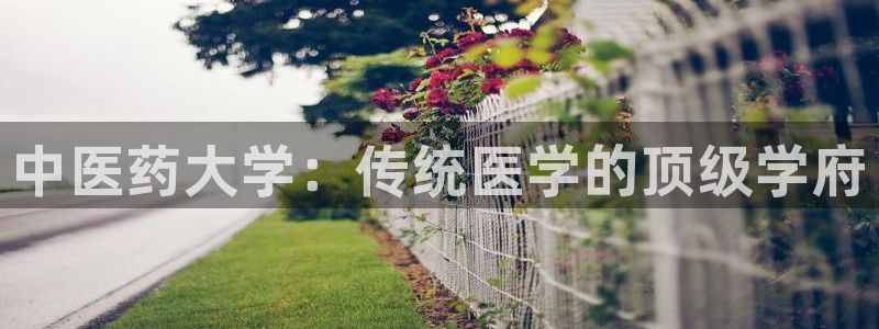 九游会官网在线