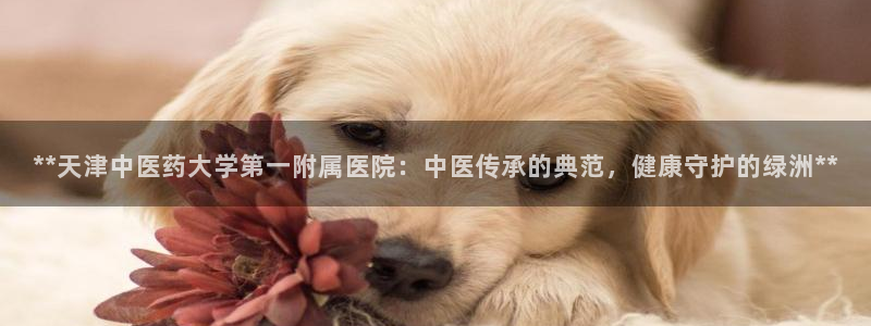 j9九游会不出款