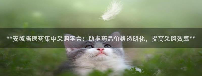 九游会集团国际