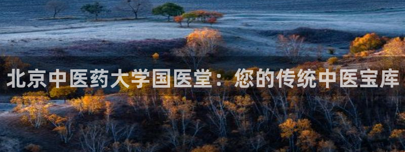 j9九游会网址是什么