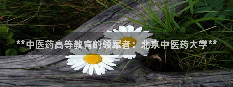 j9九游会游戏