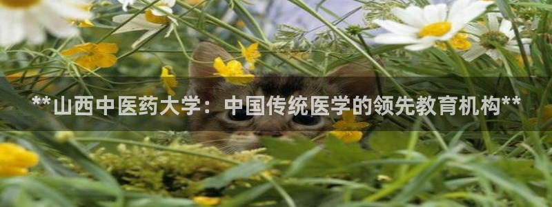 j92019九游会