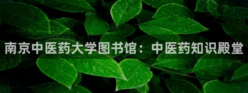 九游j9国际