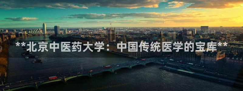 ag老队