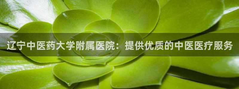 九游会j9官网