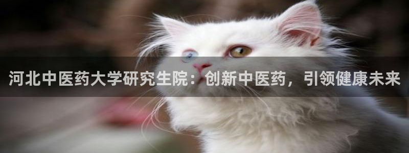 j9九游会官方网站国际怎么样
