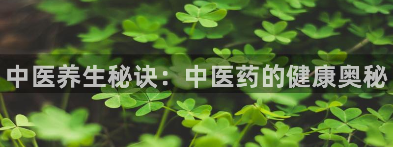 九游会官网首页入口
